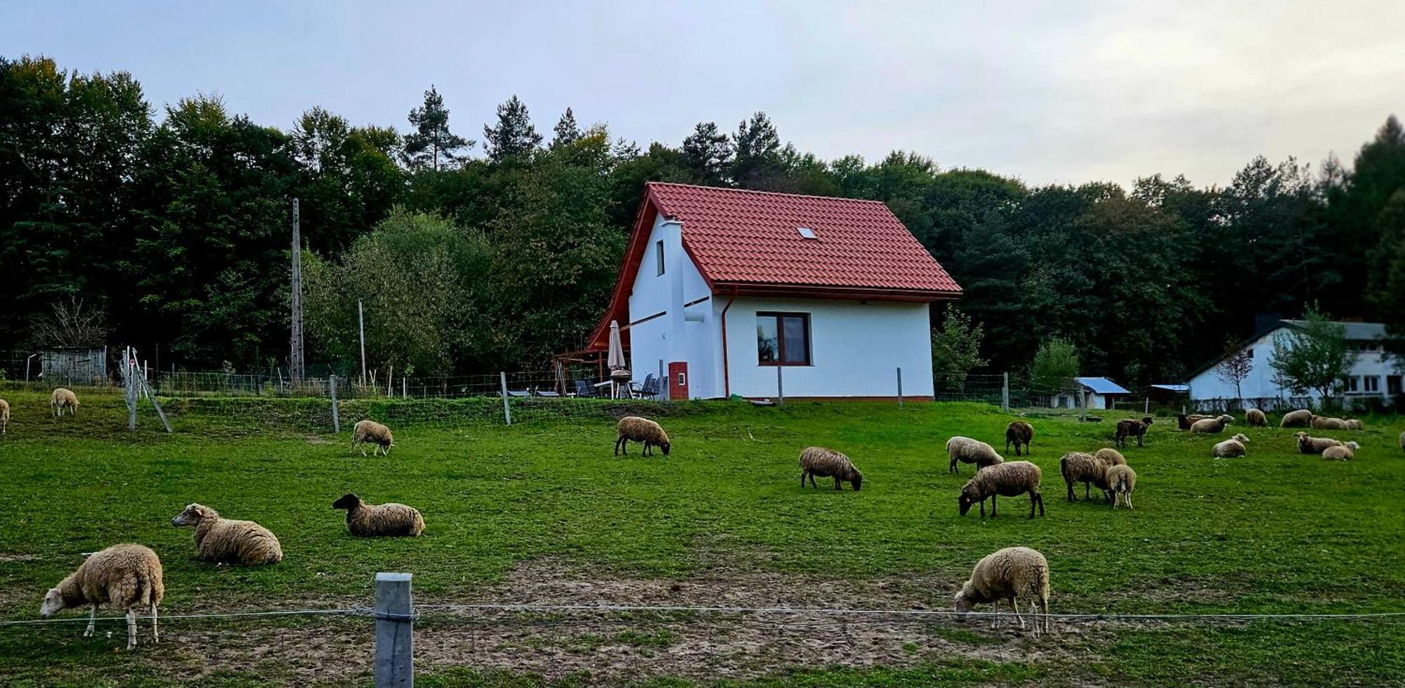 Stara Huta - Boho Ferienhaus Narol
